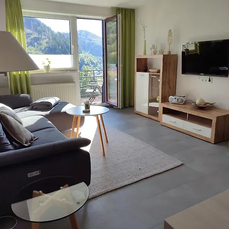 Apartment Haus Alexandra Inkl Meinecard Willingen (Upland)