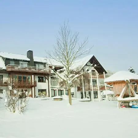 Apartment Haus Alexandra Inkl Meinecard Willingen (Upland)