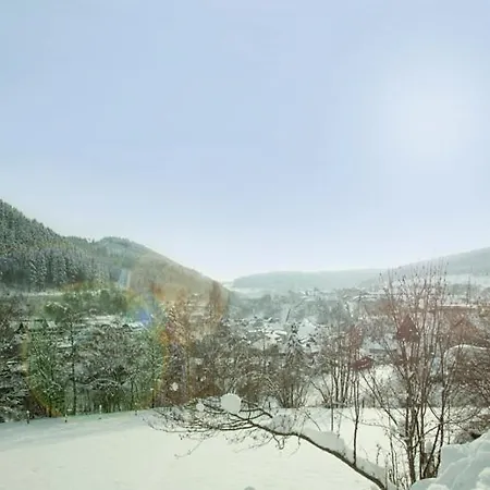 Apartment Haus Alexandra Inkl Meinecard