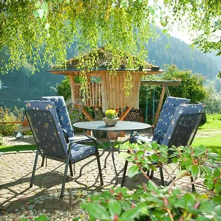 Haus Alexandra Inkl Meinecard Willingen (Upland)