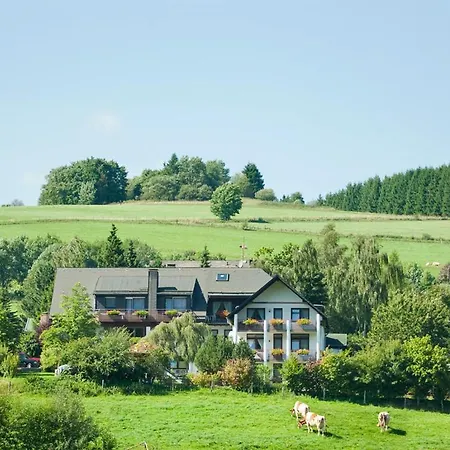 Haus Alexandra Inkl Meinecard Apartment Willingen (Upland)