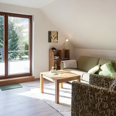 Haus Alexandra Inkl Meinecard Willingen (Upland)