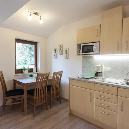 Haus Alexandra Inkl Meinecard Apartment Willingen (Upland)