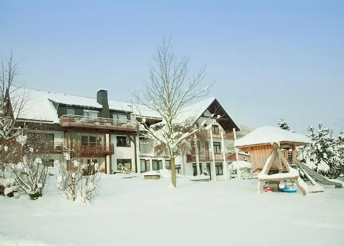 Apartamento Haus Alexandra Inkl Meinecard Willingen (Upland)