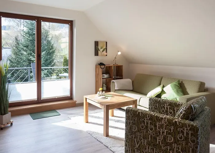 Haus Alexandra Inkl Meinecard Willingen (Upland)